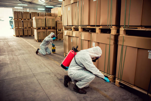 Pest Control for Restaurants in Granville, IL
