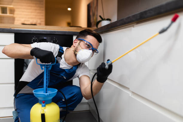 Best Best Pest Control Companies  in Granvle, IL