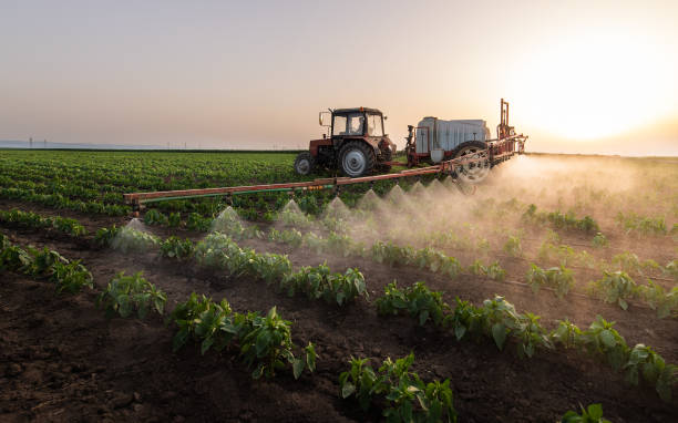 Best Commercial Pest Control Services  in Granvle, IL