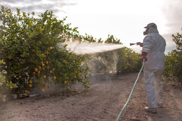 Best Affordable Pest Control Services  in Granvle, IL