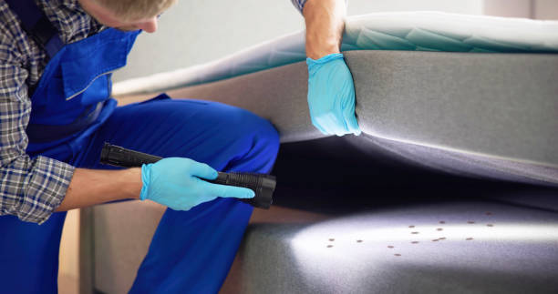 Best Pest Inspection Near Me  in Granvle, IL