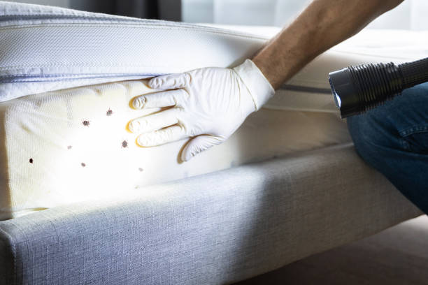 Best Best Pest Control Companies  in Granvle, IL