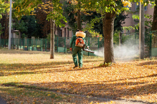 Best Exterminator Services  in Granvle, IL