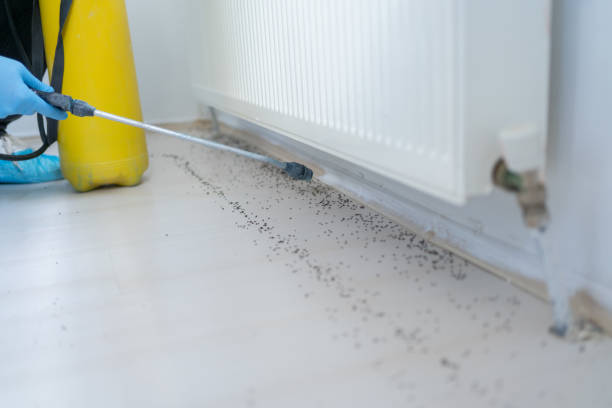Best Exterminator Services  in Granvle, IL