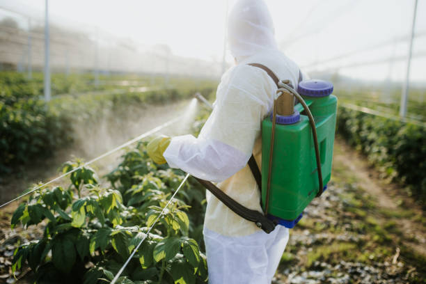 Best Residential Pest Control  in Granvle, IL